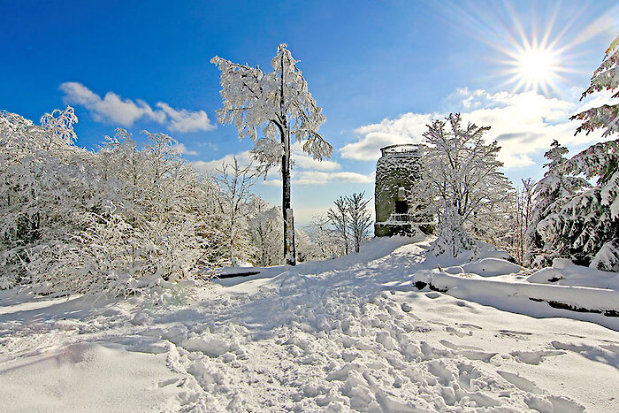 Winter am Hirschenstein Winter im Bayerischen Wald